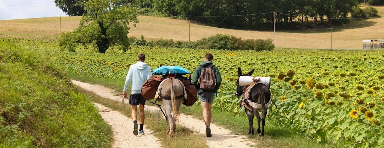 Eseltrekking im Périgord